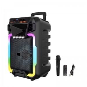 Haut-Parleur Portable...